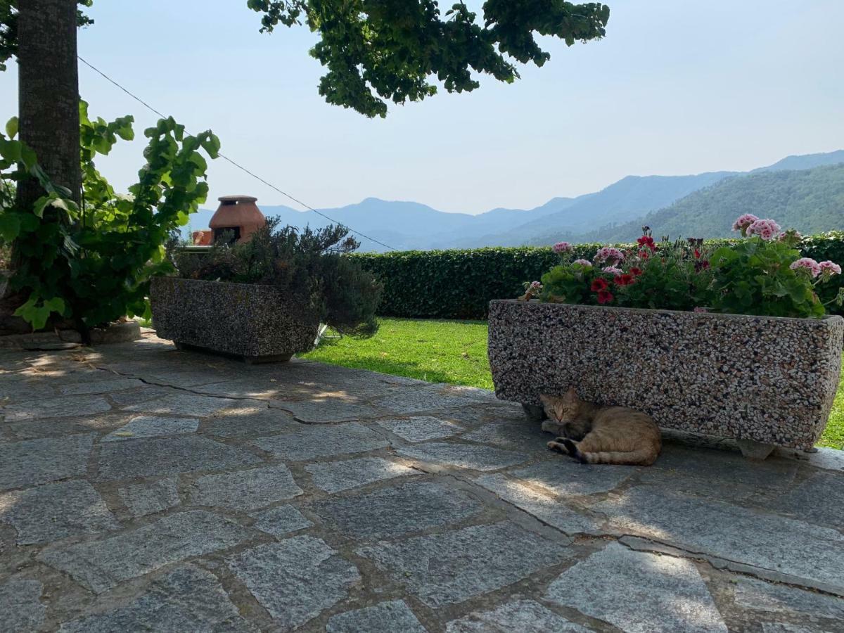 Agriturismo Gli Ulivi Garlenda Extérieur photo